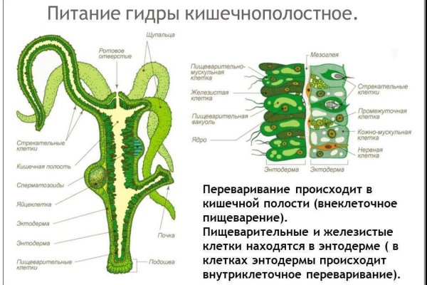 Как вернуть аккаунт на кракене