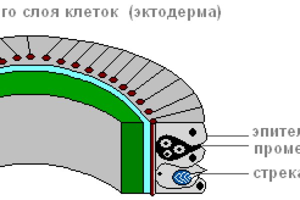 Кракен даркет