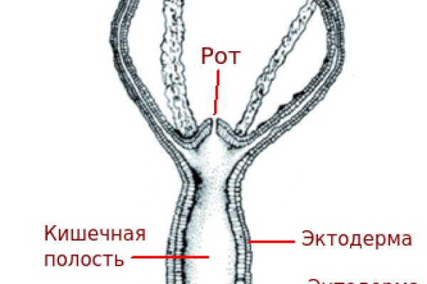 Кракен сайт маркет