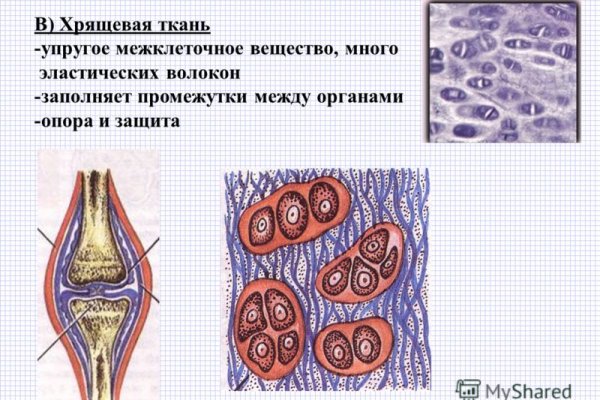 Кракен 18